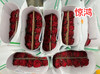 七夕玫瑰花（仅限现场活动自提） 商品缩略图1