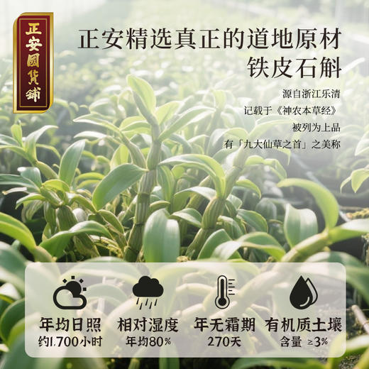 正安 铁皮石斛 深度润养告别干燥 煲汤食材冲泡用料 螺旋紧实胶质浓郁 优质原材 90g/罐 商品图6