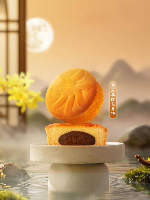 买3赠2【月饼10种口味尝鲜】赠品备注口味和数量（与99元18枚月饼活动不同享） 商品图9