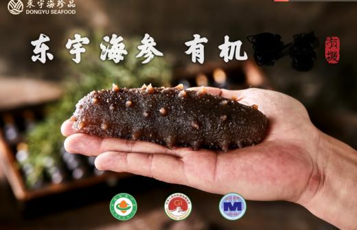 有机即食海参 商品图0