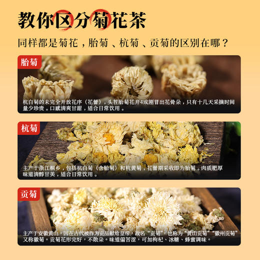 康美药业菊花（贡菊）50克/瓶 可搭配金银花枸杞泡水喝  花草茶 商品图4