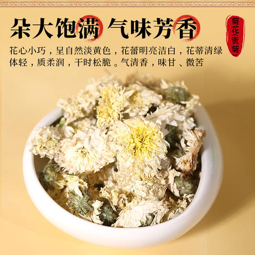 康美药业菊花（贡菊）50克/瓶 可搭配金银花枸杞泡水喝  花草茶 商品图2