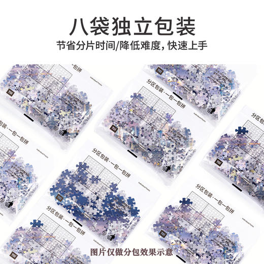 TOi图益-潮玩拼图摄影系列-繁华之下-2000片 商品图5