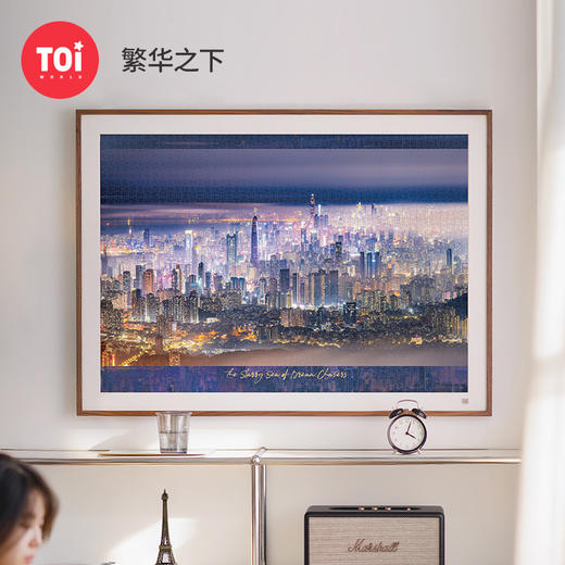 TOi图益-潮玩拼图摄影系列-繁华之下-2000片 商品图0