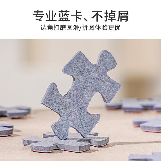 TOi图益-潮玩拼图摄影系列-繁华之下-2000片 商品图4