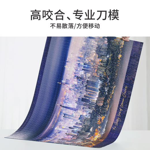 TOi图益-潮玩拼图摄影系列-繁华之下-2000片 商品图1