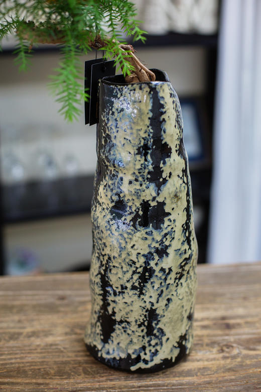 造型澳洲松 商品图2