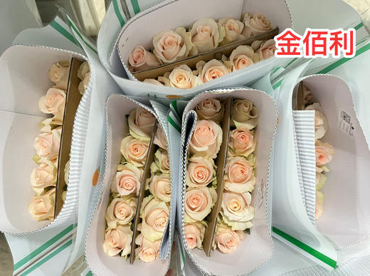 七夕玫瑰花（仅限现场活动自提） 商品图2