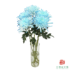 VDB吸色小菊-黛蓝 5枝一扎 商品缩略图2