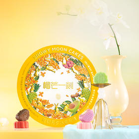 【中秋】缤纷口味冰皮月饼礼盒