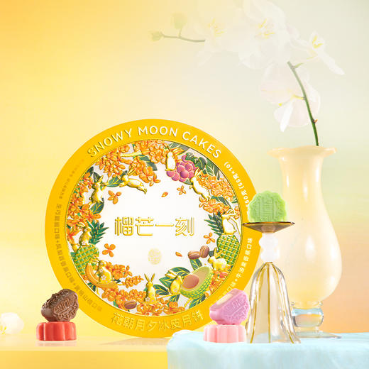 【中秋】缤纷口味冰皮月饼礼盒 商品图0