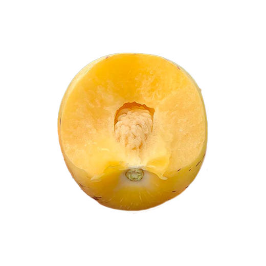 【云南】人参果礼盒（1.5kg） 商品图2