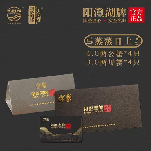 【阳澄湖牌大闸蟹·礼券】有机大闸蟹系列 《蒸蒸日上》出口品质 商品图0