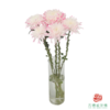VDB吸色小菊-浅粉 5枝一扎 商品缩略图2