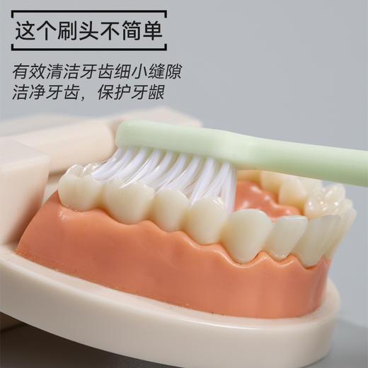 牙博士幻海羽感DR6203 商品图4