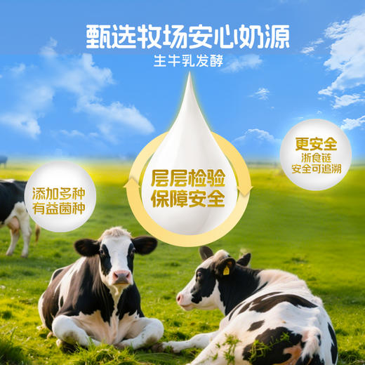 【快递直达】美丽健香草味优酪乳100g*10杯 商品图3