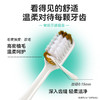 【秒杀】牙博士幻海密净DR6204 商品缩略图3