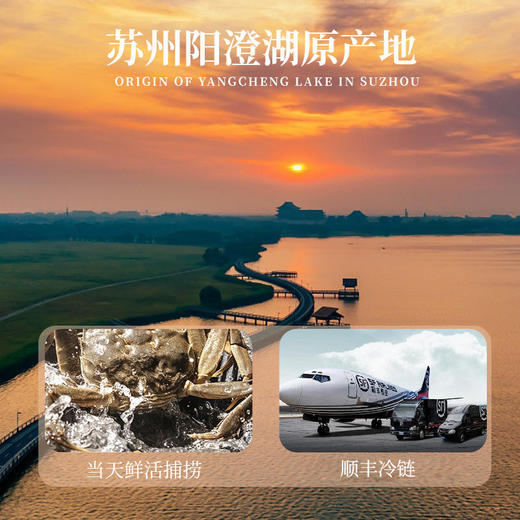 一价到底【咏礼记大闸蟹】阳澄美味，蟹中珍品，膏香盈溢，金脂香软！下单即送法国原装红酒卡一张！ 商品图2