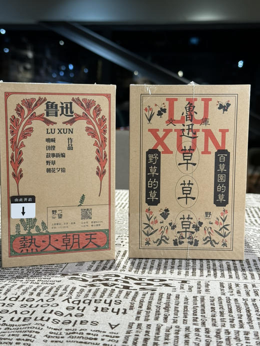 鲁迅文库 故事/随笔精选集《朝花夕拾》《野草》《故事新编》《彷徨》《呐喊》 商品图3