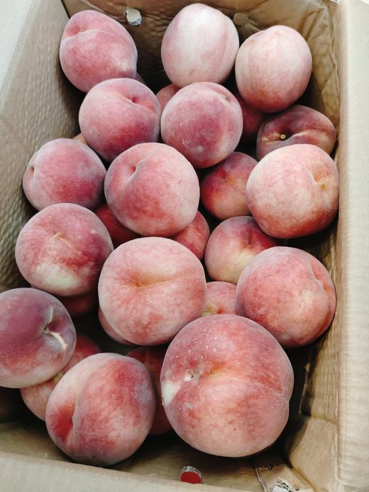 燕红桃3斤 商品图1