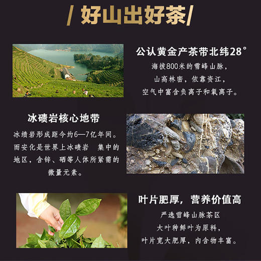 白沙溪益生元黑茶（紧压茶）180克 商品图4
