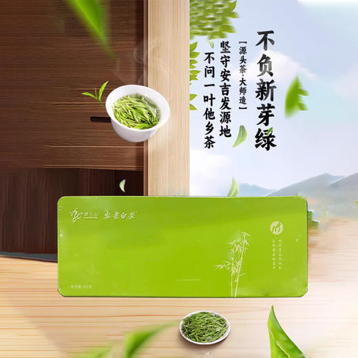 龙王山安吉白茶105克（3克×35） 商品图0