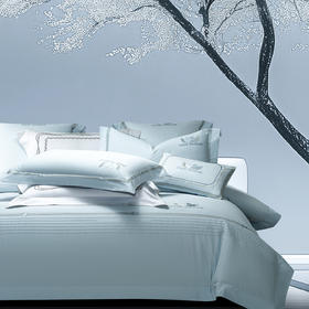 【下架】自然醒160支长绒棉磨毛高端绣花四件套100%纯棉床单被套秋冬季家纺床品GDS