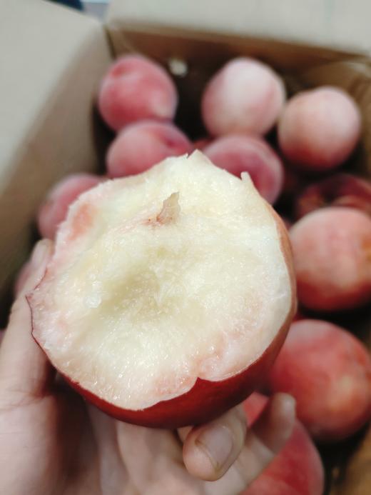 燕红桃3斤 商品图2