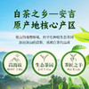 龙王山安吉白茶105克（3克×35） 商品缩略图2