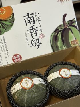 南香粤南瓜（单果900g左右）