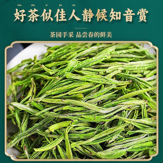 龙王山安吉白茶105克（3克×35） 商品图3