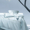 【下架】自然醒160支长绒棉磨毛高端绣花四件套100%纯棉床单被套秋冬季家纺床品GDS 商品缩略图5