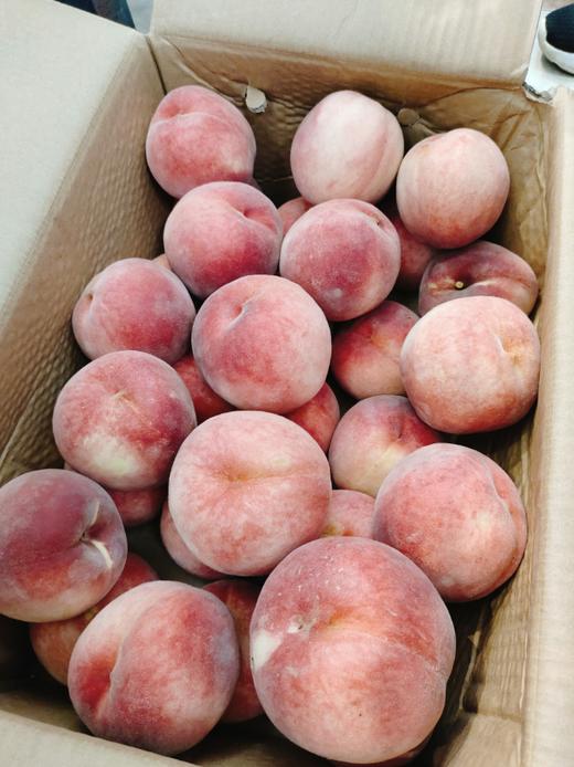 燕红桃3斤 商品图0