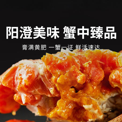 一价到底【咏礼记大闸蟹】阳澄美味，蟹中珍品，膏香盈溢，金脂香软！下单即送法国原装红酒卡一张！ 商品图0