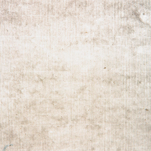 70年代上海朵云轩木版水印四尺长对开大画笺原装一卷(兰花，色标:花青) 商品图11