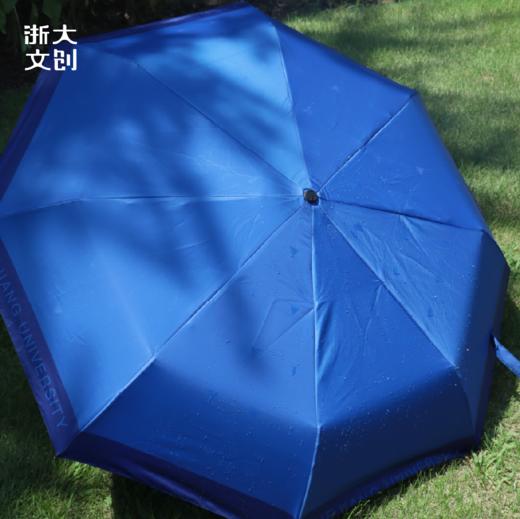 【浙大文创】浙江大学求是鹰遇水变色伞 商品图1