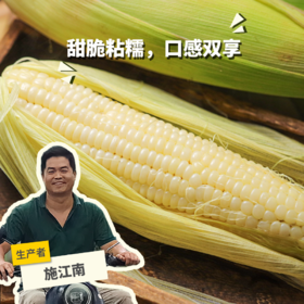 生态浙江甜糯玉米 | 合作生产*Ecological white glutinous corn| Partner Production