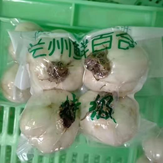 兰州鲜百合 新鲜采挖 脆甜爽口  兰州西果园百合   顺丰包邮 商品图2