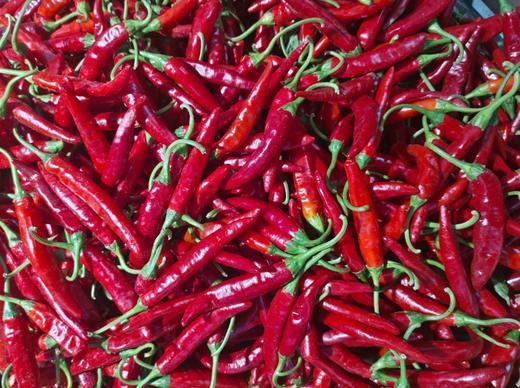 红泰椒一斤 商品图0