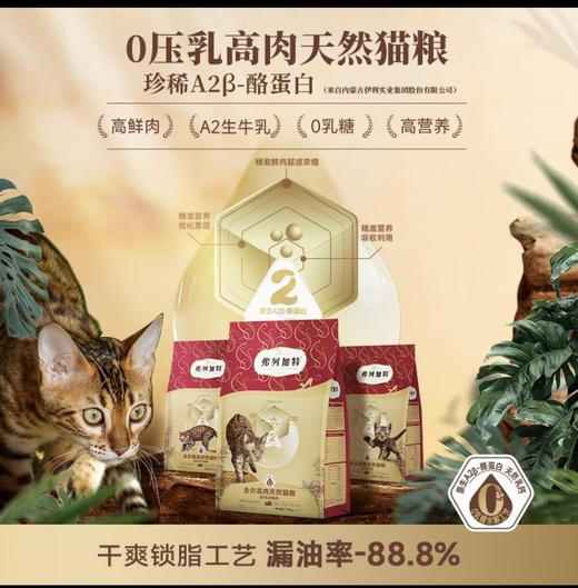 弗列加特猫粮系列 商品图8