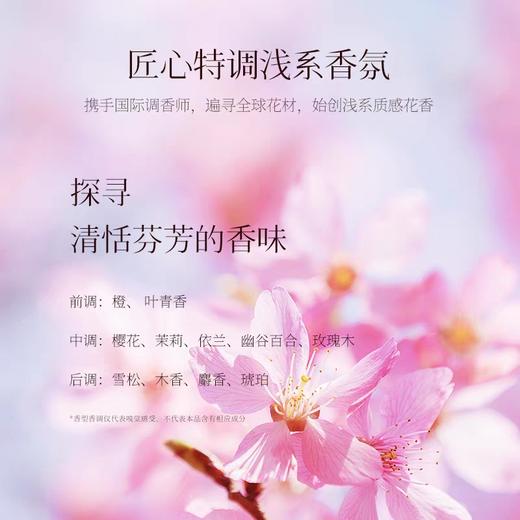 浅香日本扁柏氨基酸洗发水500g 商品图3