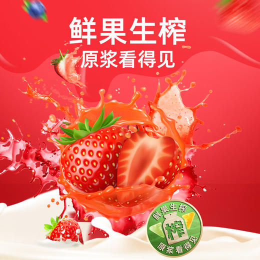 溜溜梅4味乳酸菌水果系列冻冻桶1kg 商品图2