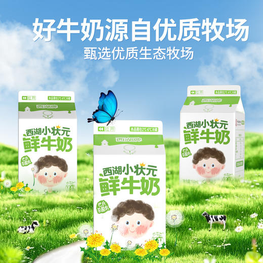 【每日鲜配】西湖牌小状元苗条屋顶鲜牛奶150ml（低温鲜奶，月套餐，每日配送） 商品图3