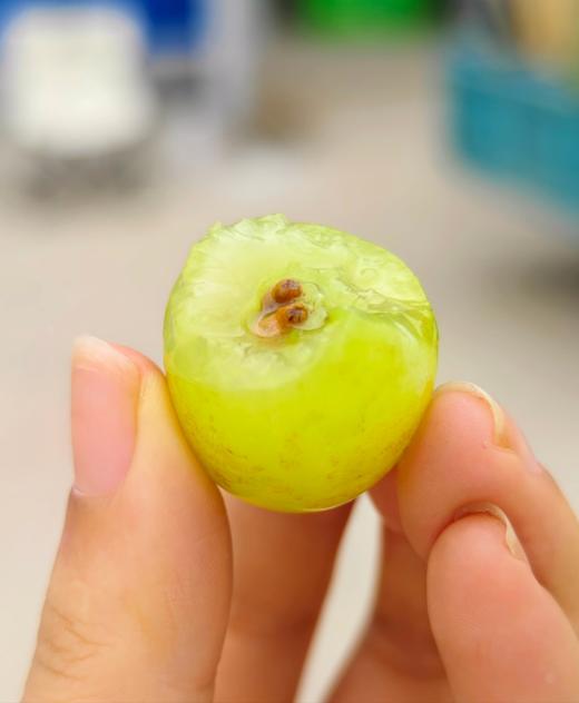 龙山晴王葡萄 金龙珠 3斤礼盒装 商品图1