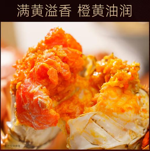 蟹状元月光宝蟹中秋礼品卡5688型 商品图5