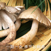 南食召 本真油鸡枞 商品缩略图3