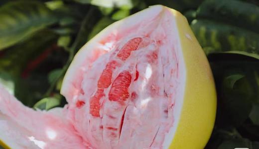 【仅供兑换 单拍不发 仅发江浙沪 禁止改地址】冬枣+平和蜜柚三红柚（冬枣果期已过，换苹果发货） 商品图3