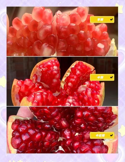 可以喝的软籽石榴 | 四川会理突尼斯软籽精品老树石榴6斤 小果礼盒装（单果300g+） 汁似泉涌 颗颗爆汁[福利品] 商品图1