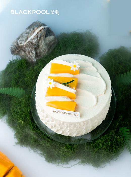 猫山王榴莲芒果软忌廉（上海） 商品图3