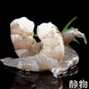 有机生虾仁400g（袋装）｜山东滨州 商品缩略图1
